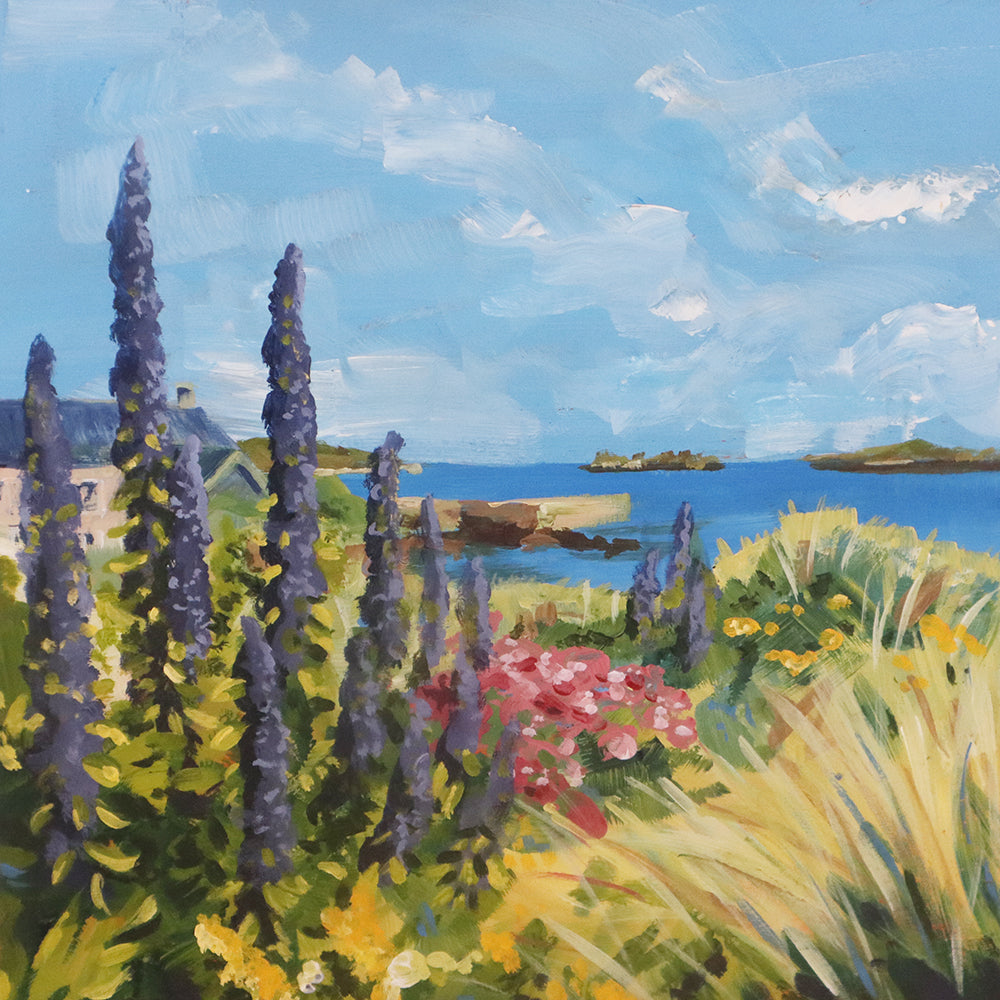 Echiums at Old Grimsby