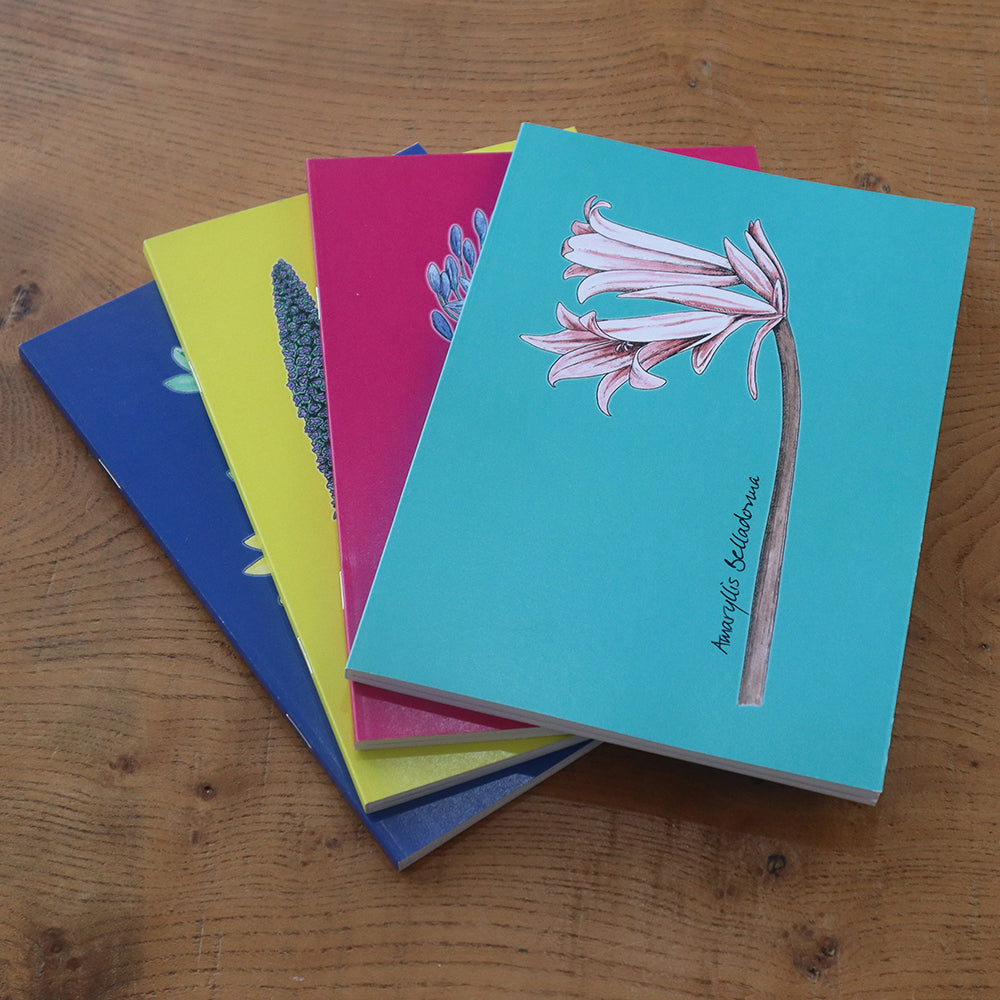 Flower Notebook (set of four)