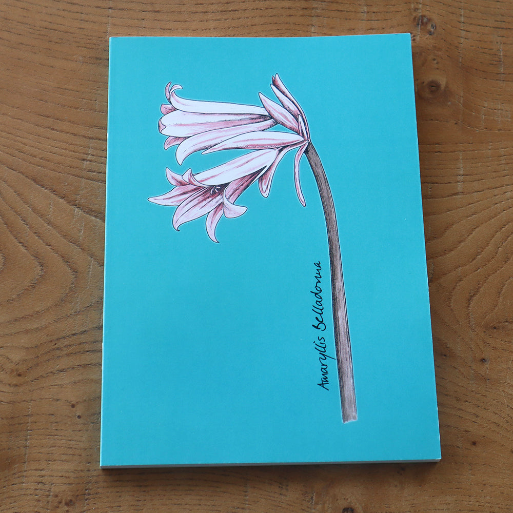 Flower Notebook (set of four)