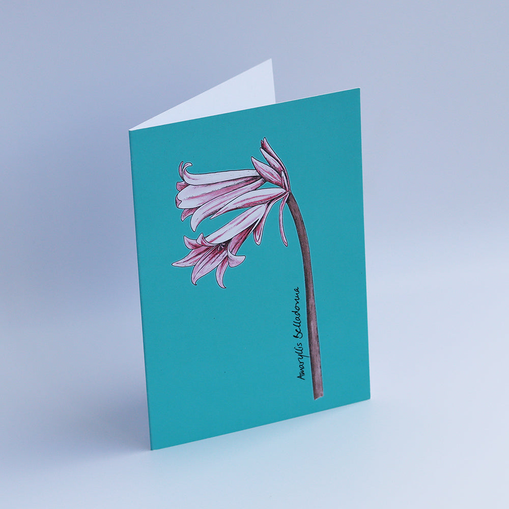 Selection of Five Greetings Cards