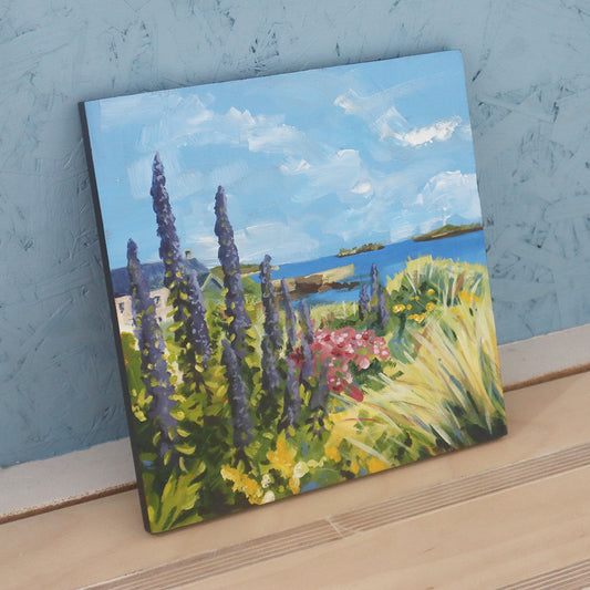 Echiums at Old Grimsby