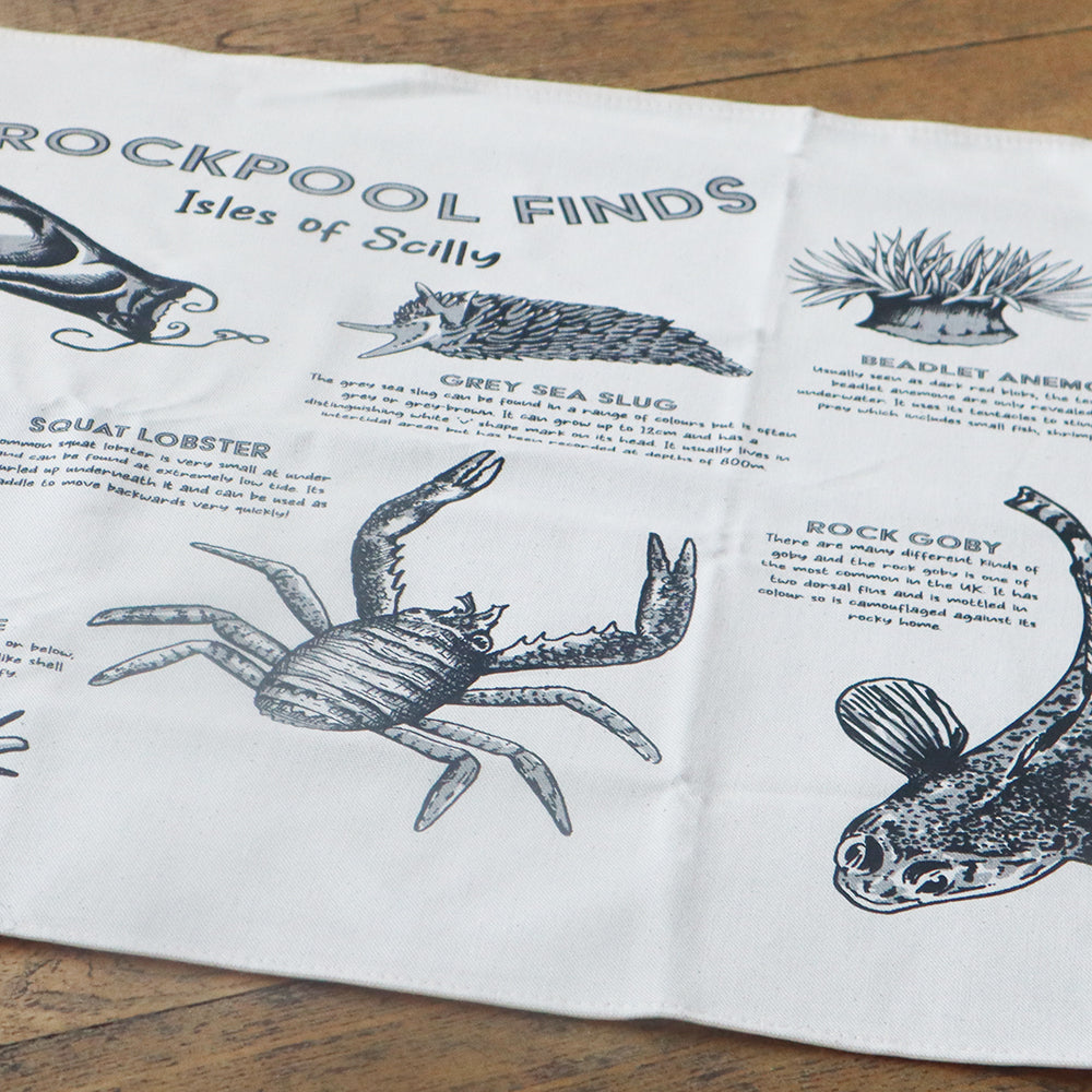 Scilly 'Rockpool Finds' Tea Towel