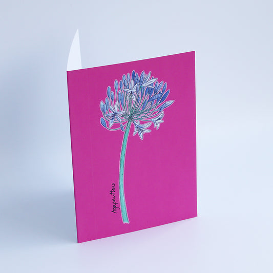 Agapanthus Card