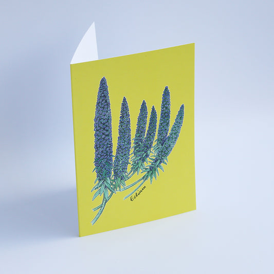 Echium Card